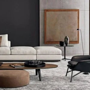 Contemporer Living Room